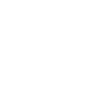 Logo Direction Interministérielle du Numérique