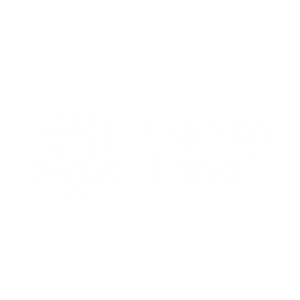 Logo France Travail