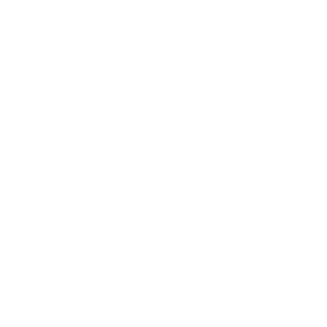 Logo Groupe BPCE