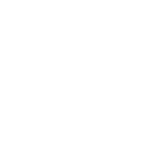 Logo ISO 9001